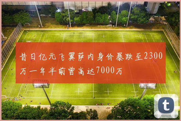 昔日亿元飞翼萨内身价暴跌至2300万一年半前曾高达7000万