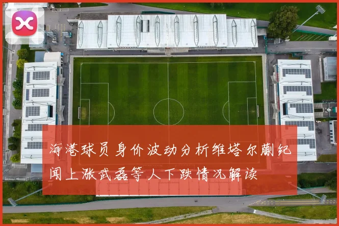 海港球员身价波动分析维塔尔蒯纪闻上涨武磊等人下跌情况解读